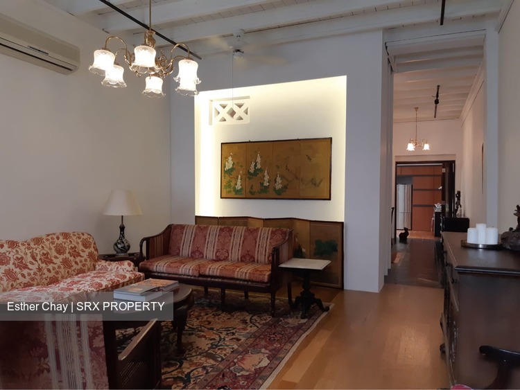 Joo Chiat Place (D15), Semi-Detached #173220642